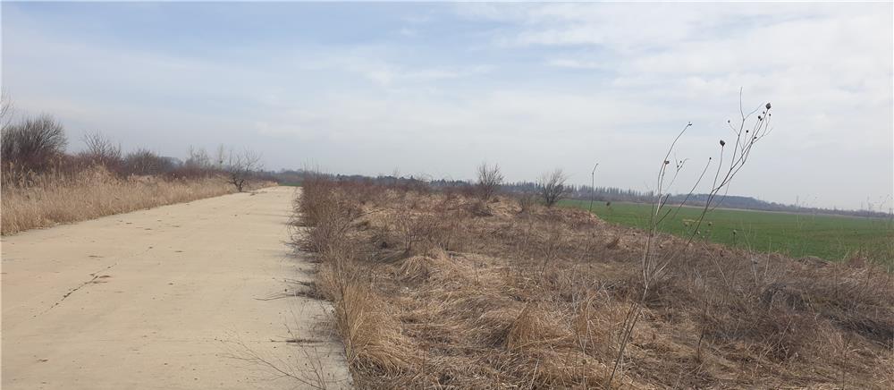 Teren Km 22 A1- Bucuresti-Pitesti-Parc Industrial-Propietar