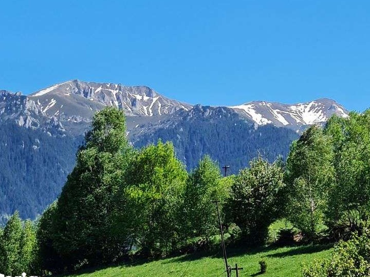 Teren la munte in RATE la proprietar, cu acte notariale ! Bran Fundata