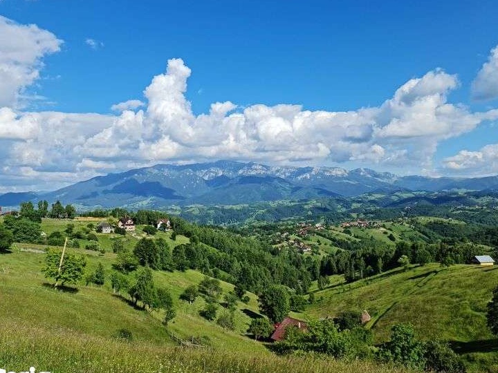 Teren la munte in RATE la proprietar, cu acte notariale ! Bran Fundata