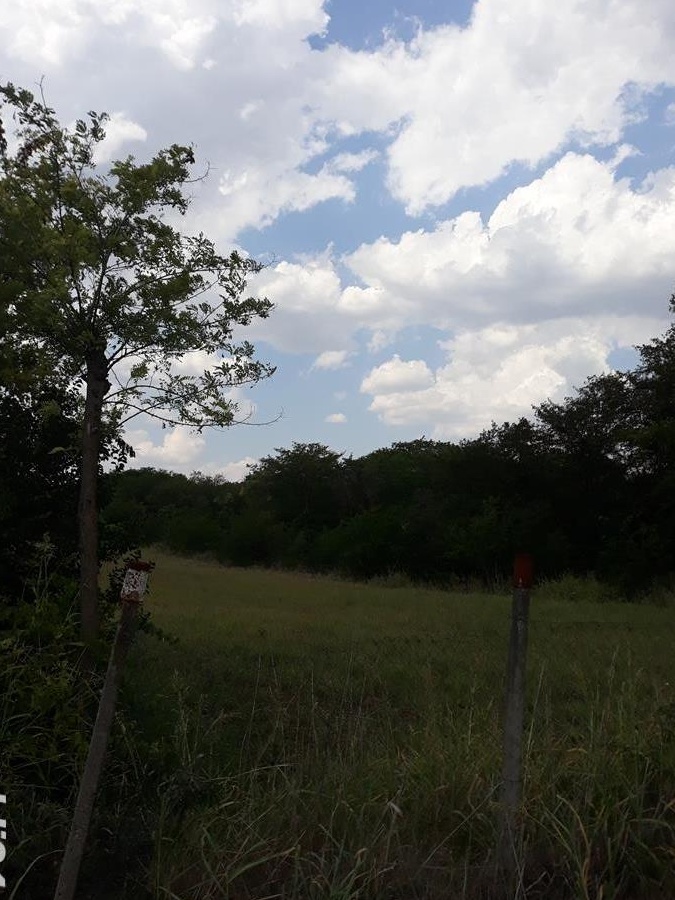 Teren langa padure, Tulucești