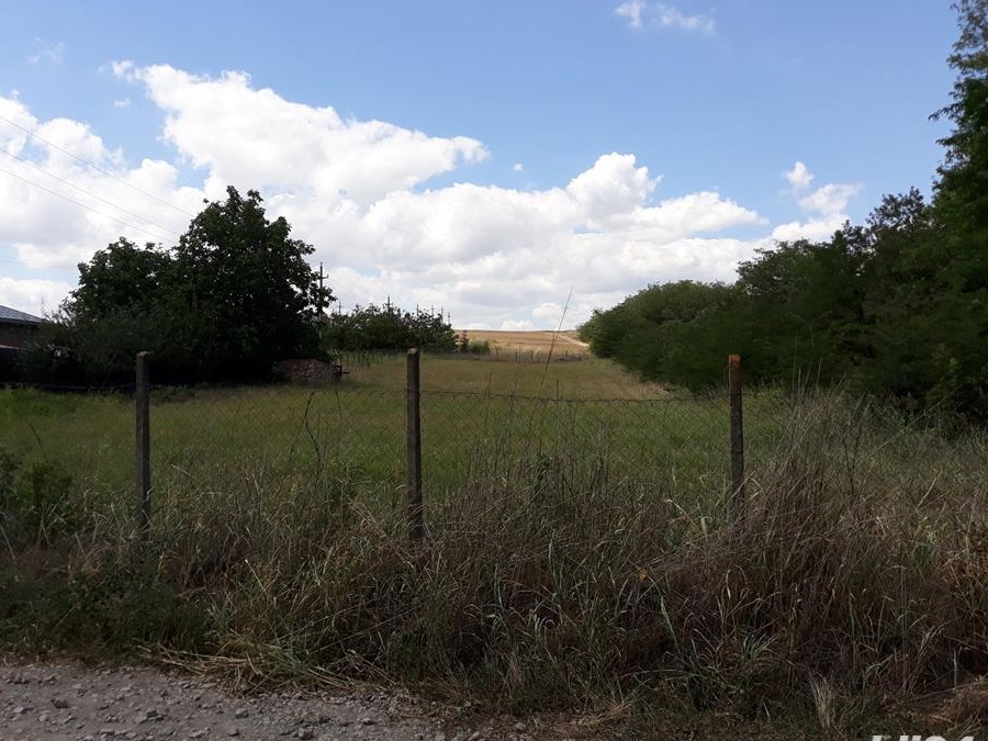 Teren langa padure, Tulucești