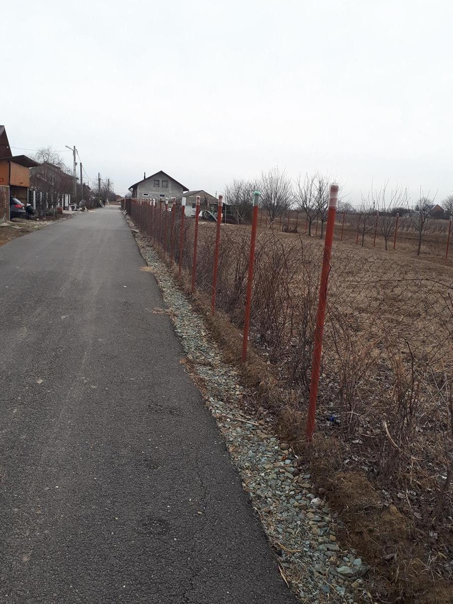 teren  mihailesti giurgiu