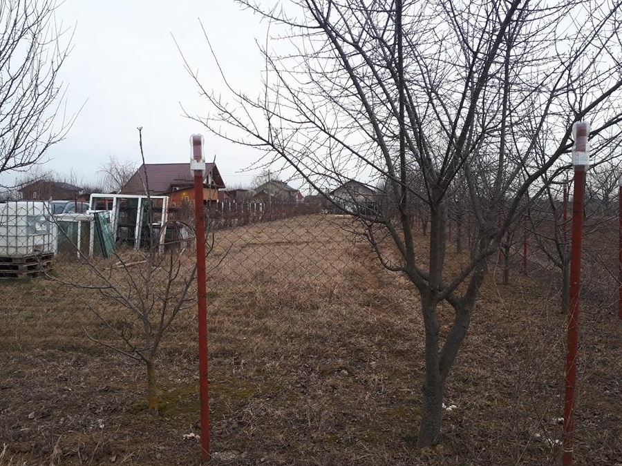 teren  mihailesti giurgiu