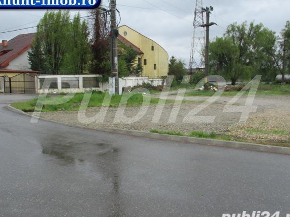 Teren mogosoaia lac strada zamfirei 500 mp