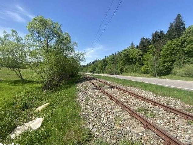 Teren Păltinoasa 60 ari - pretabil pentru cabană/pensiune