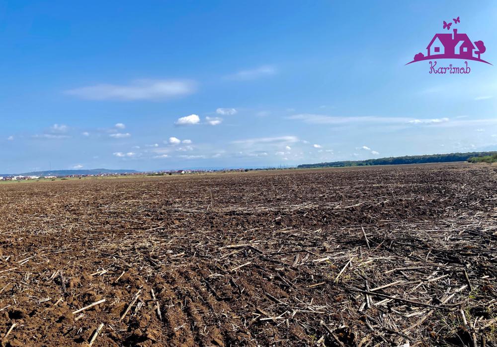 Teren pentru constructii zona Grigorescu