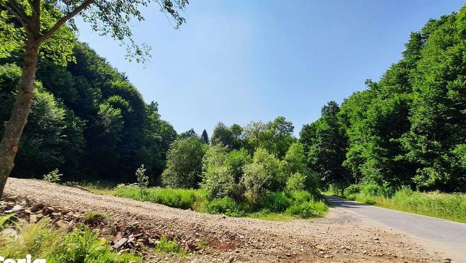 Teren POIANA MARULUI - Zarnesti - Brasov, 16.800mp - Proprietar