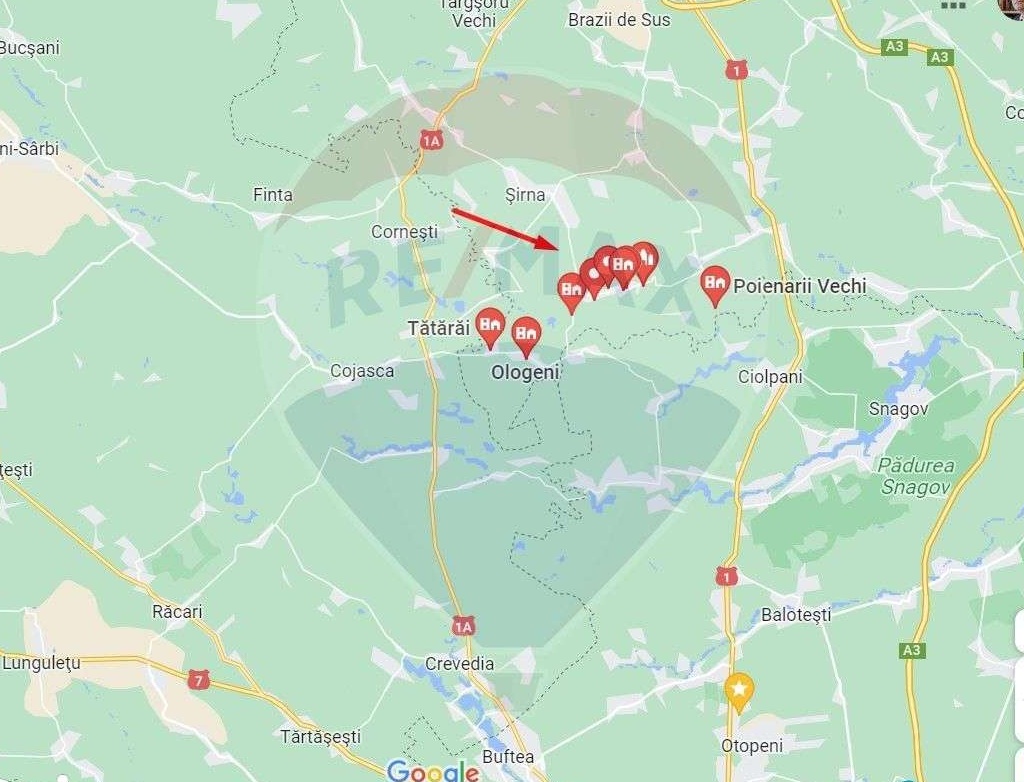 Teren Poienarii Burchii. 25.000 mp, extravilan., agricol.