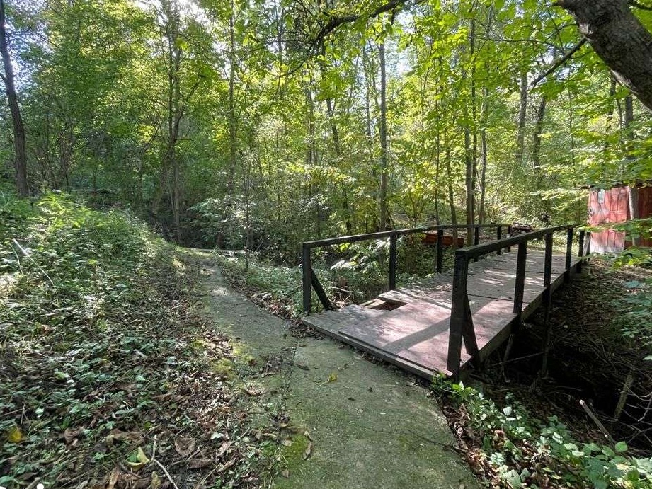 Teren Provita de Sus 1936mp - Zona deosebita - 1h de Bucuresti