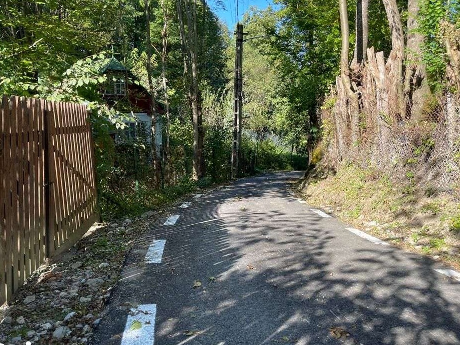Teren Provita de Sus 1936mp - Zona deosebita - 1h de Bucuresti