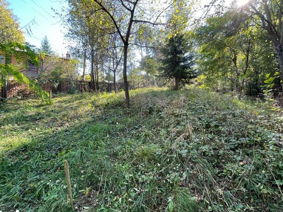 Teren Provita de Sus 1936mp - Zona deosebita - 1h de Bucuresti