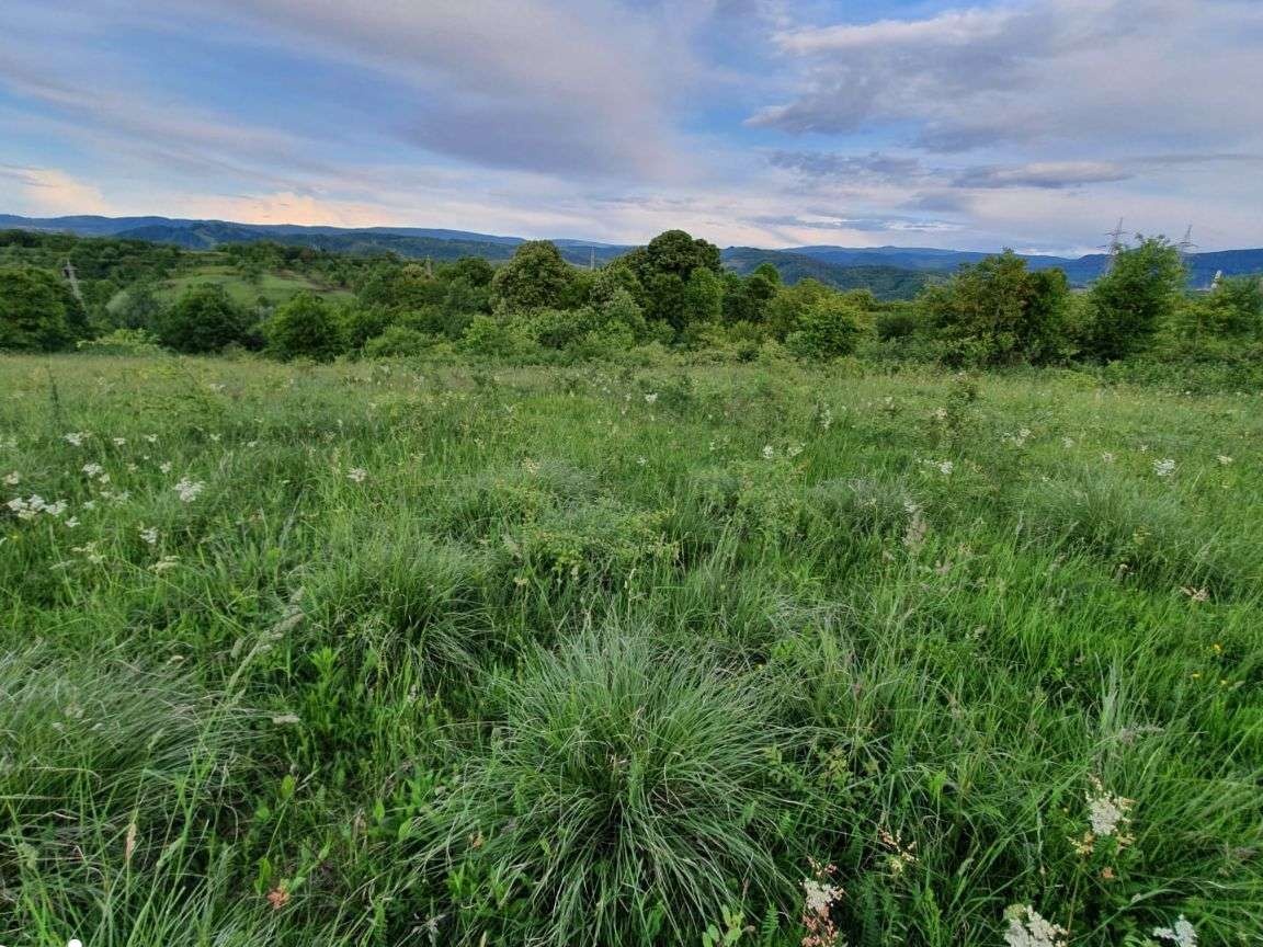 Teren Resita 8700 mp negociabil schimb cu apartament