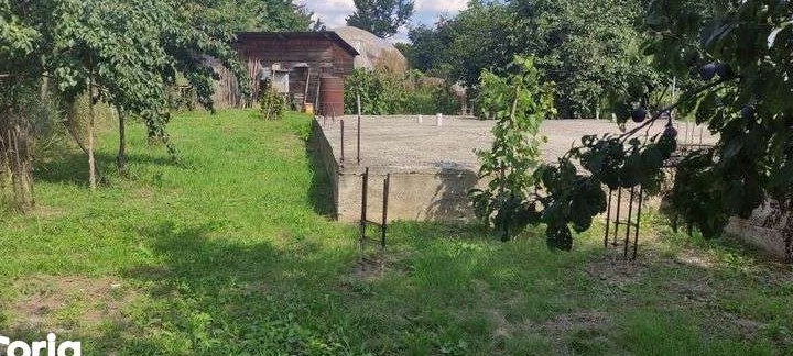 Teren sat Aroneanu