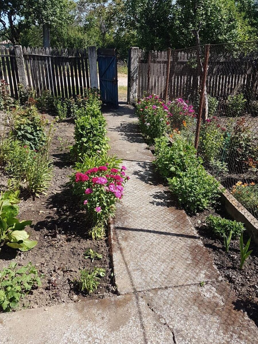 Teren si casa de vanzare in sat Vartopu, Corabia, jud. Olt