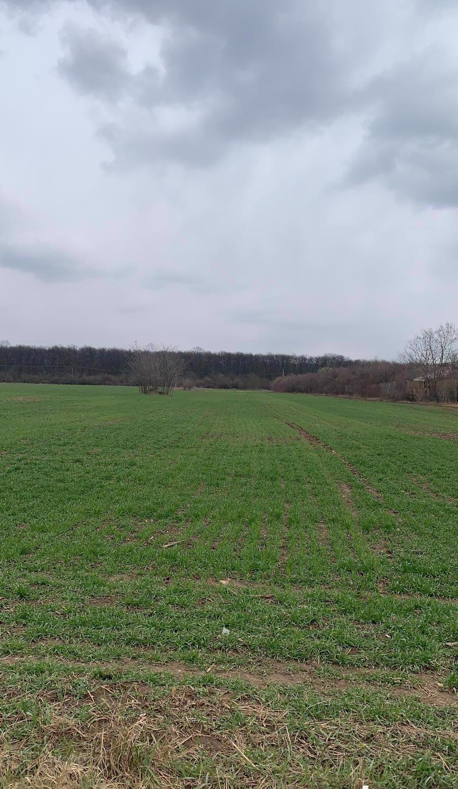 Teren Snagov / DN 1 intravilan agricol