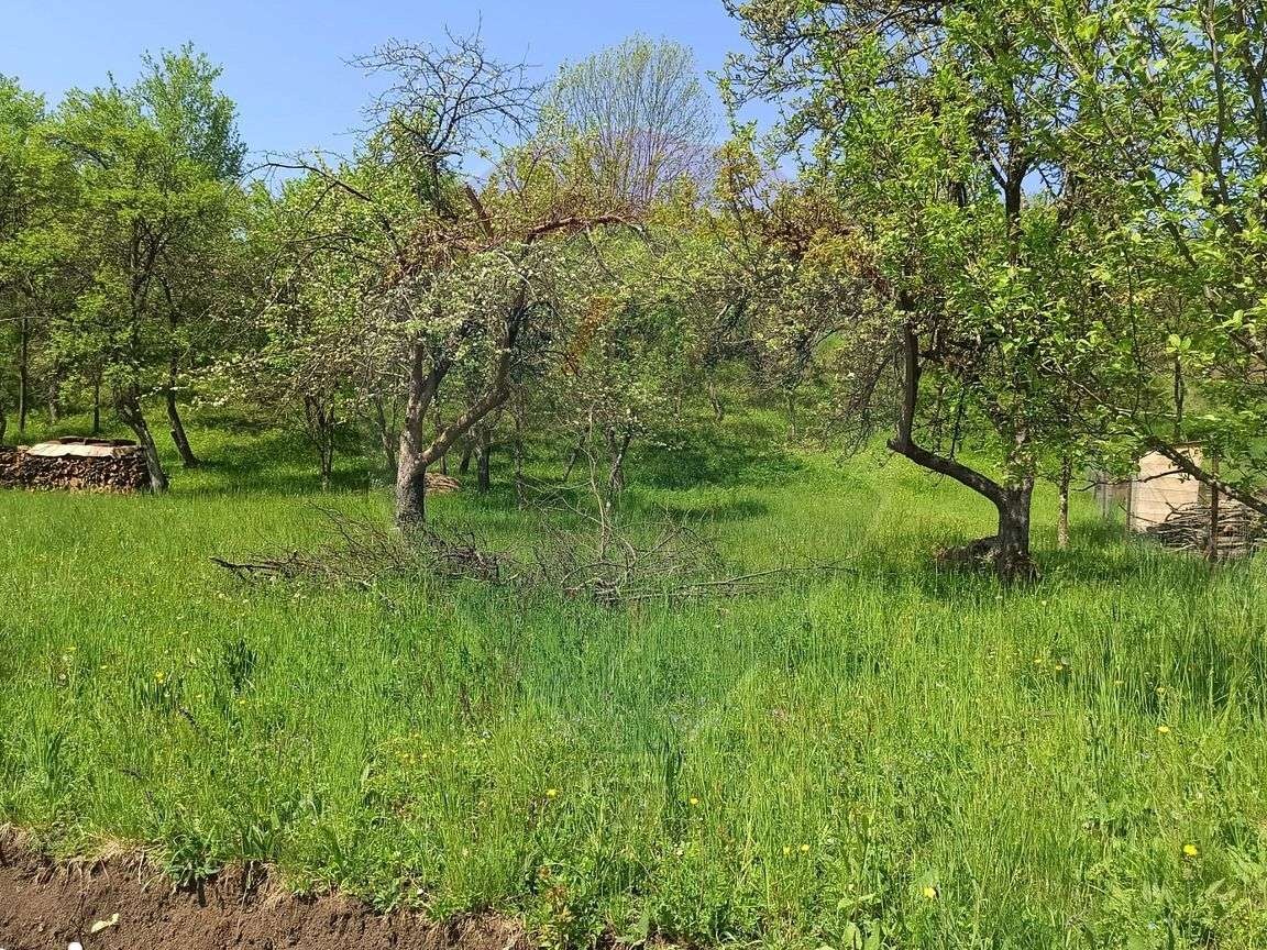 Teren Suceagu intravilan