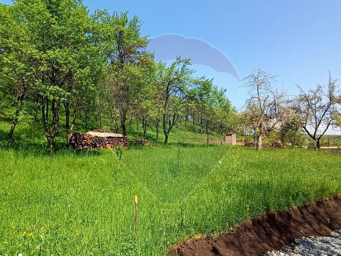Teren Suceagu intravilan