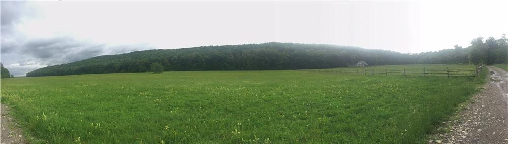 Teren Suceava ,Baia / Bogdănești 1,5 hectare