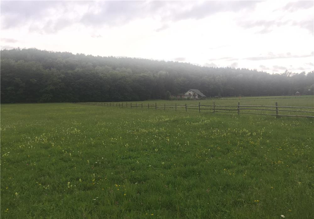 Teren Suceava ,Baia / Bogdănești 1,5 hectare