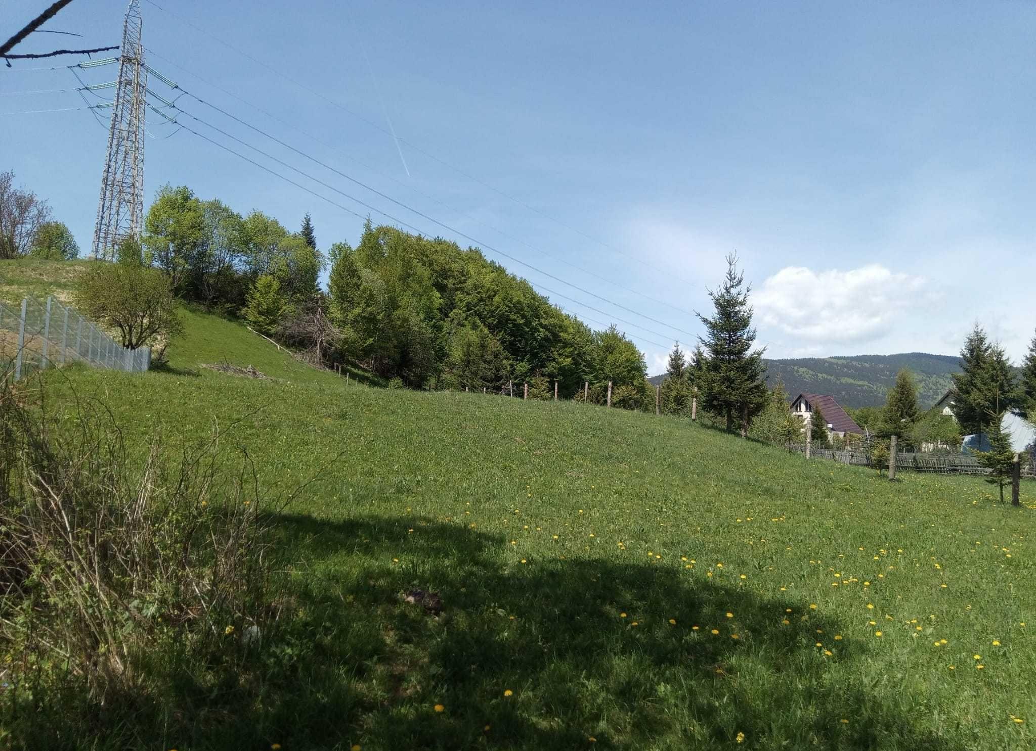 Teren Valea Doftanei zona Poduri