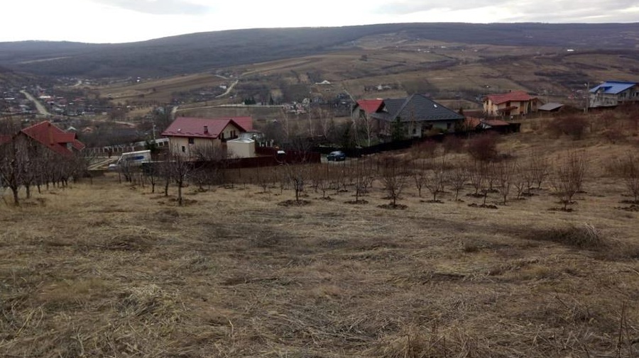 Teren vanzare Chicerea cu utilitati si facilitati in apropiere - 650m2