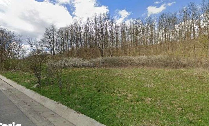 Teren/Pădure în Haţeg 8500mp