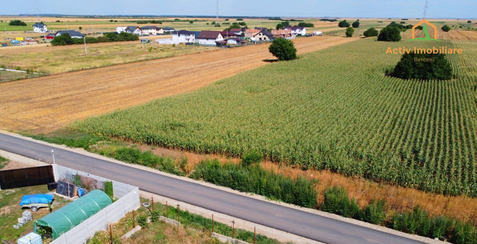 Terenuri de vanzare   asfalt - RATE 12 luni - Comuna Berceni