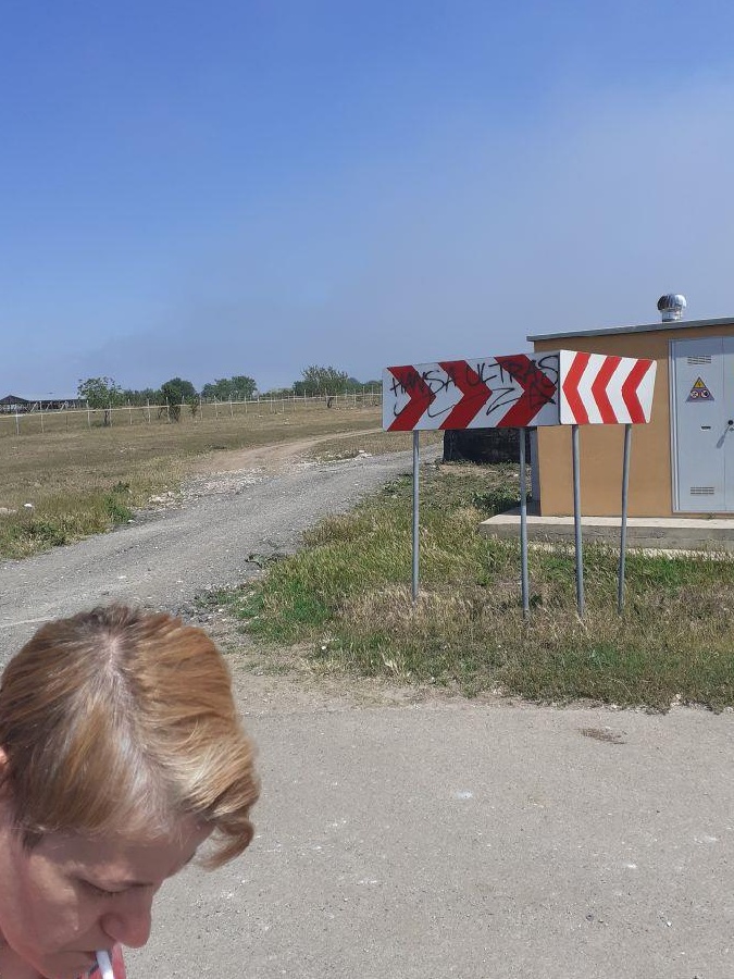 Tern in statiunea Costinesti