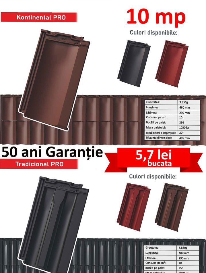 Tigla Ceramica Colorata 10 buc / mp