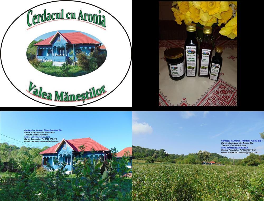Tinctura de Aronia 250 ml - Cerdacul cu Aronia - judetul Gorj