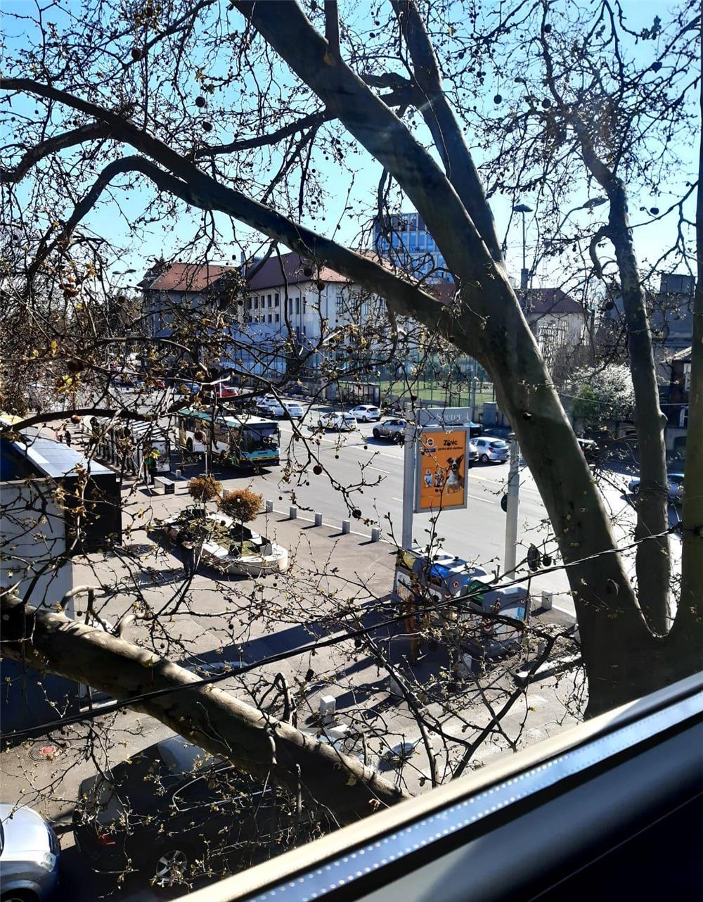Tineretului