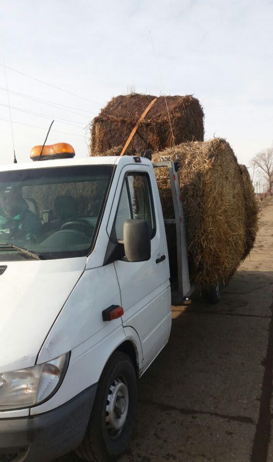 Tractari Auto si Transport Marfa in Buzau si in Tara non-stop