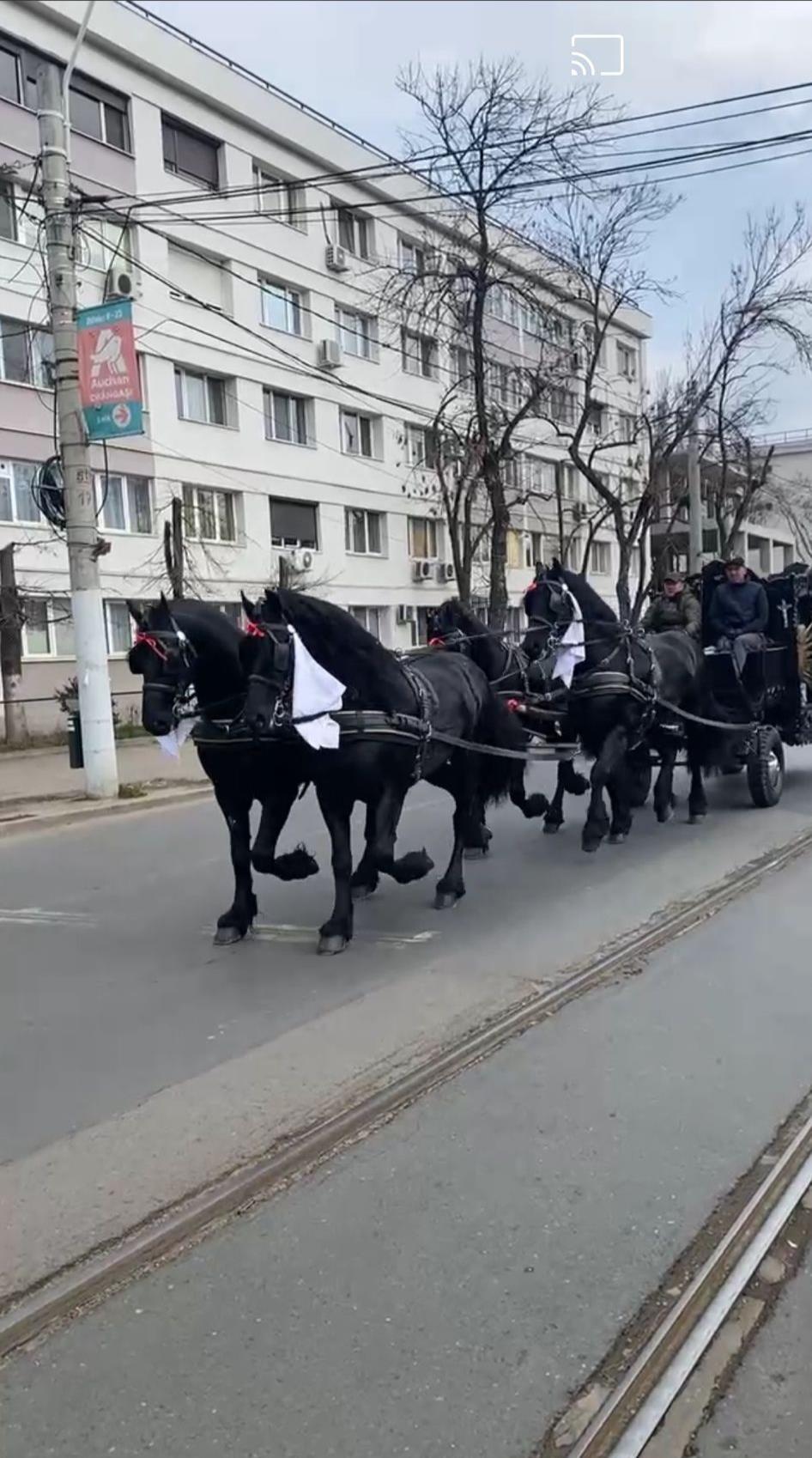Transport funerar dric cu cai