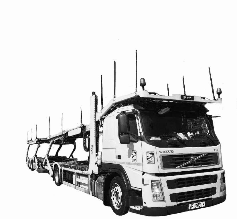 TRANSPORT PE PLATFORMA/ AUTO TRANSPORT ON THE PLATFORM