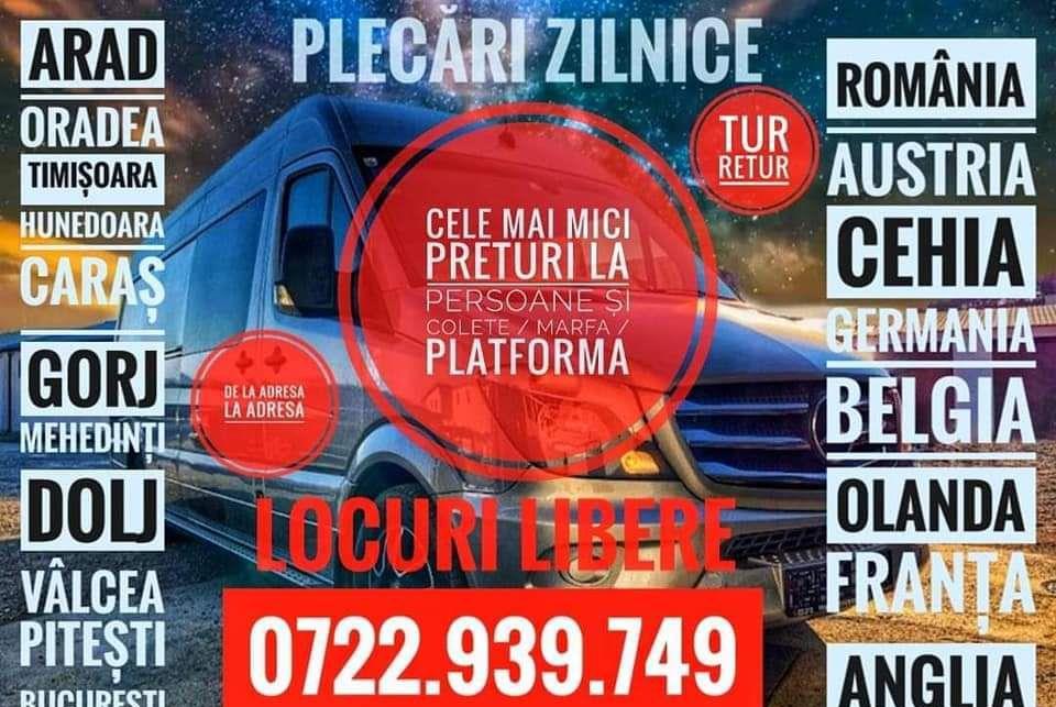 Transport zilnic