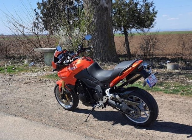 Triumph Tiger
