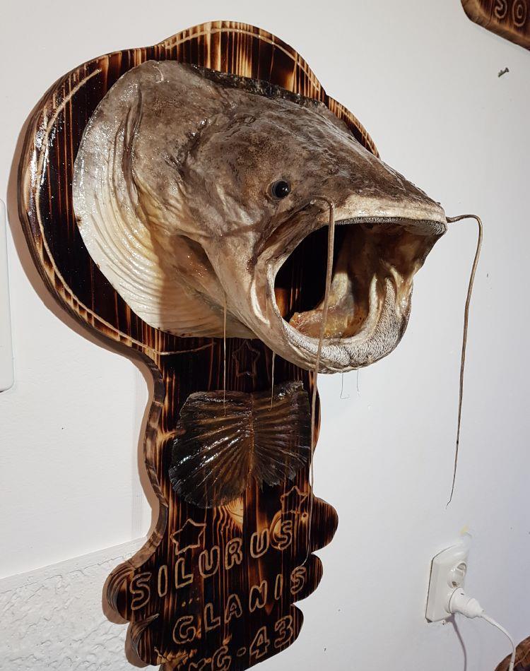 Trofee de Somn