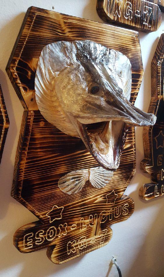 Trofee Pești