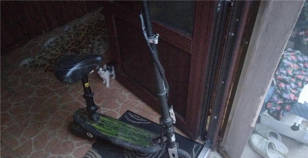 Trotineta,motor copii,bicicleta