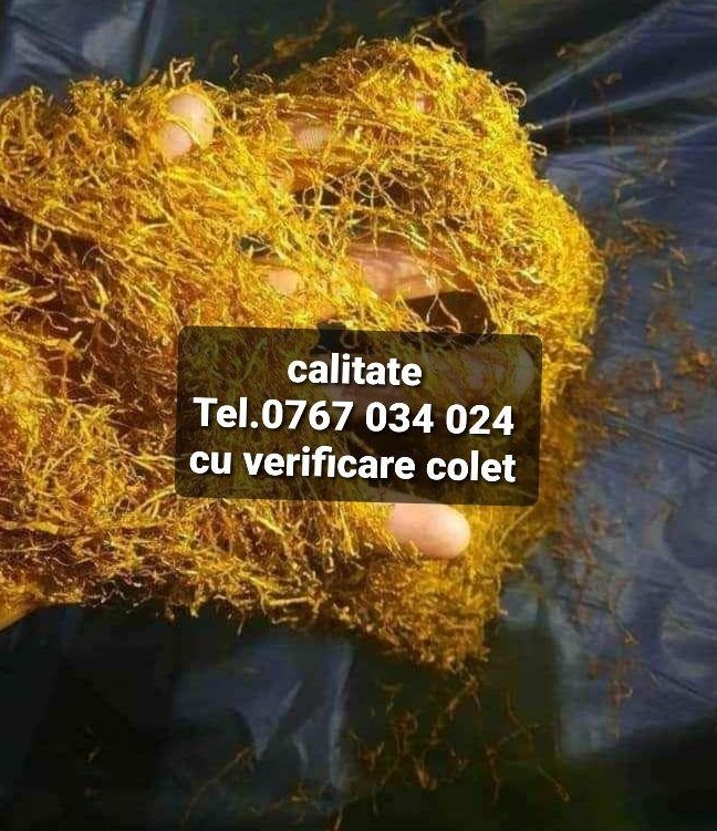 tutin premium