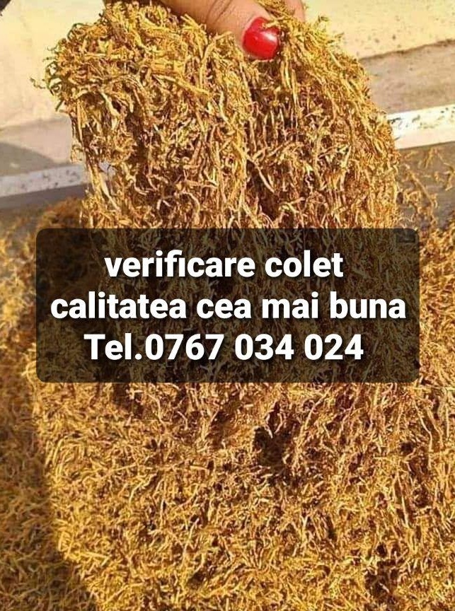 tutin premium