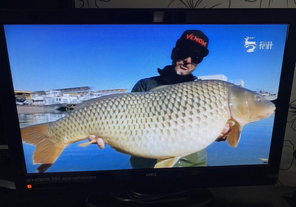 Tv si monitor OKI 22 inch (56 cm)