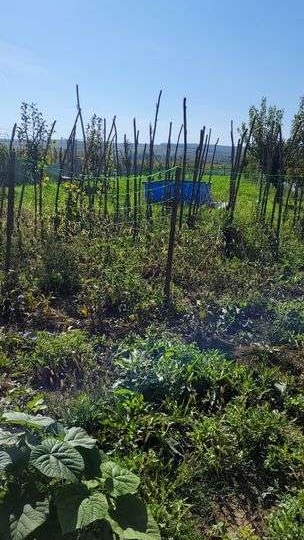 Urgent gradina cu cabana