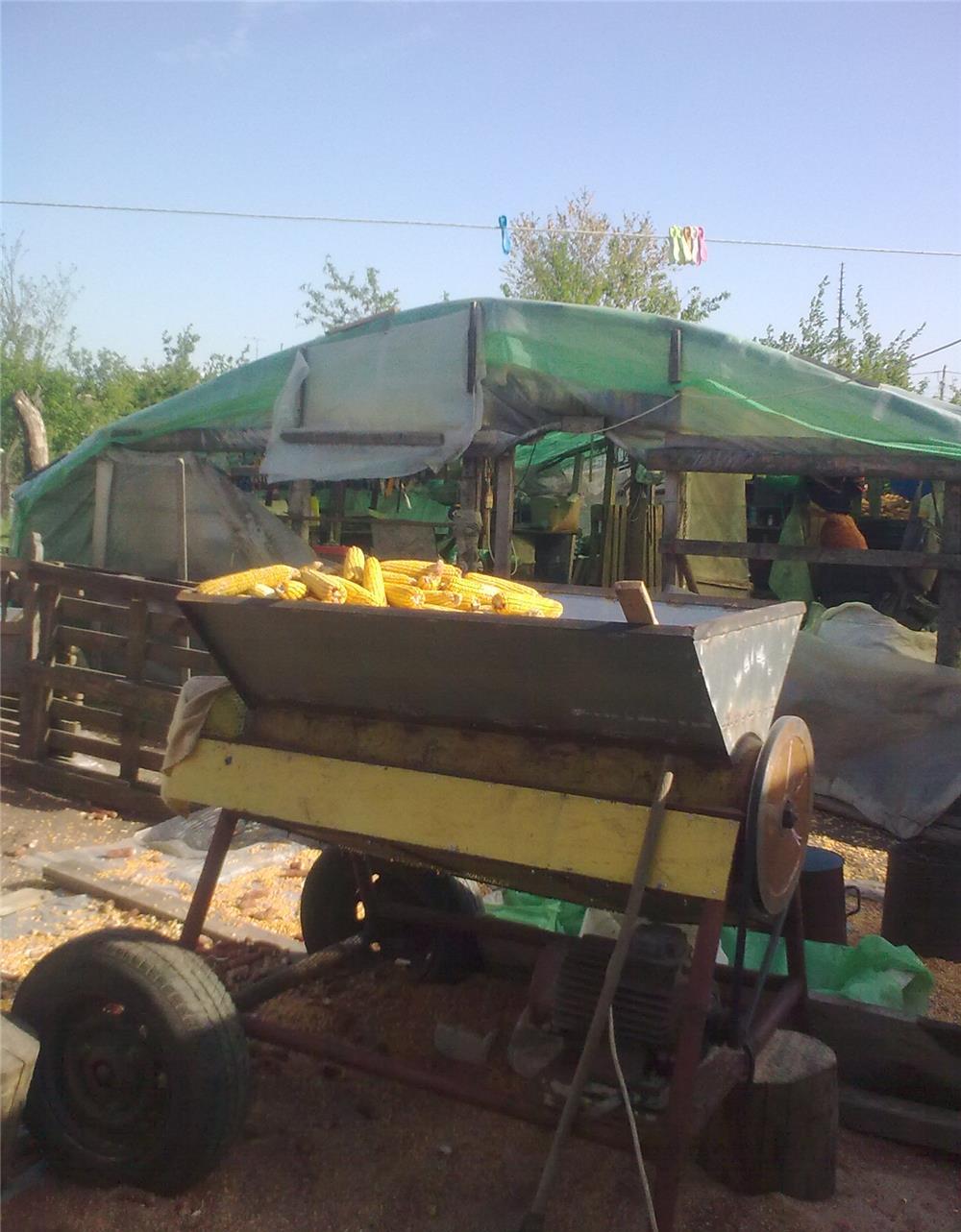 utilaj de batut (curatat) porumb
