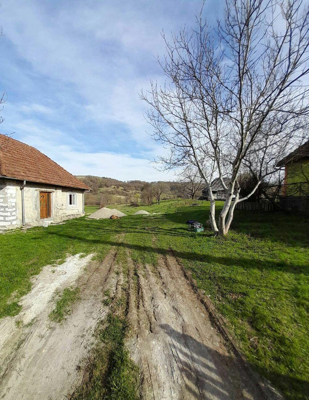 v nd cas  în Berin a