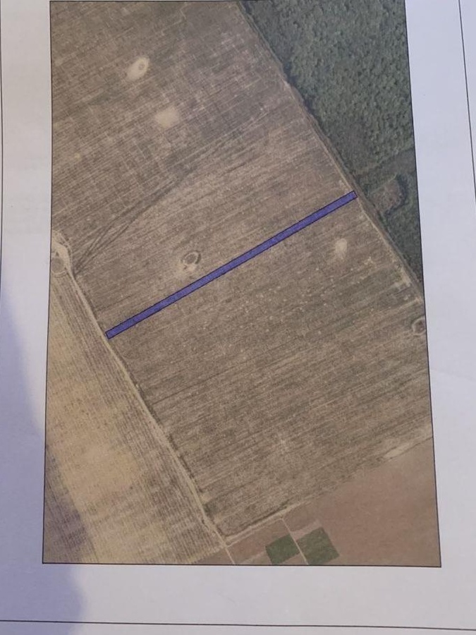Vand 1ha teren extravilan/agricol Comuna Snagov 2