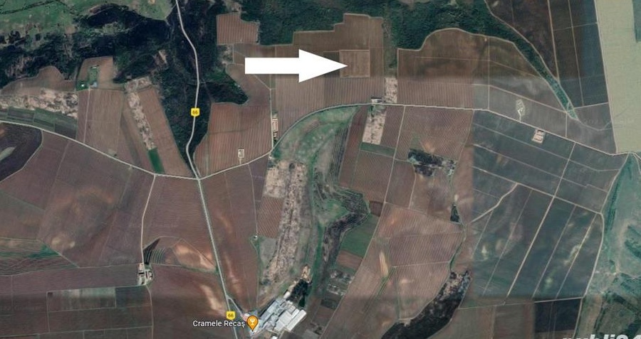 VAND 2,2 hectare teren la Recas in vie