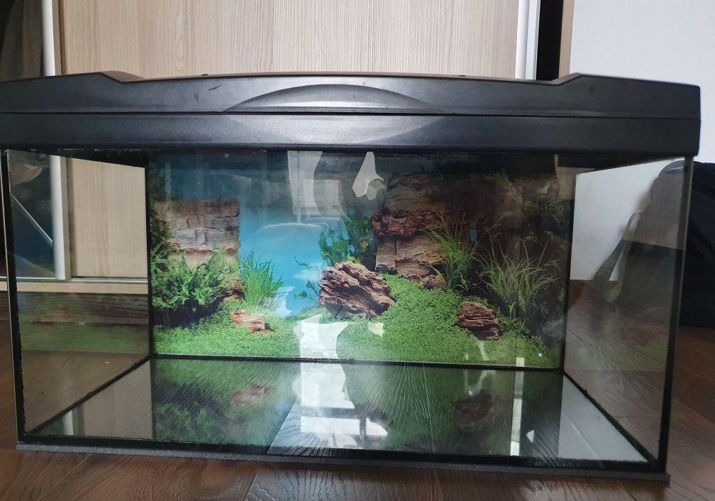 Vand Acvariu 50L