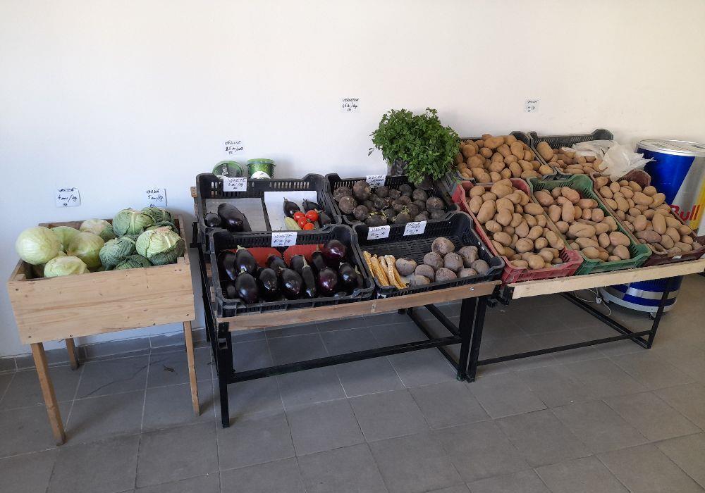 vand afacere la cheie,aprozar