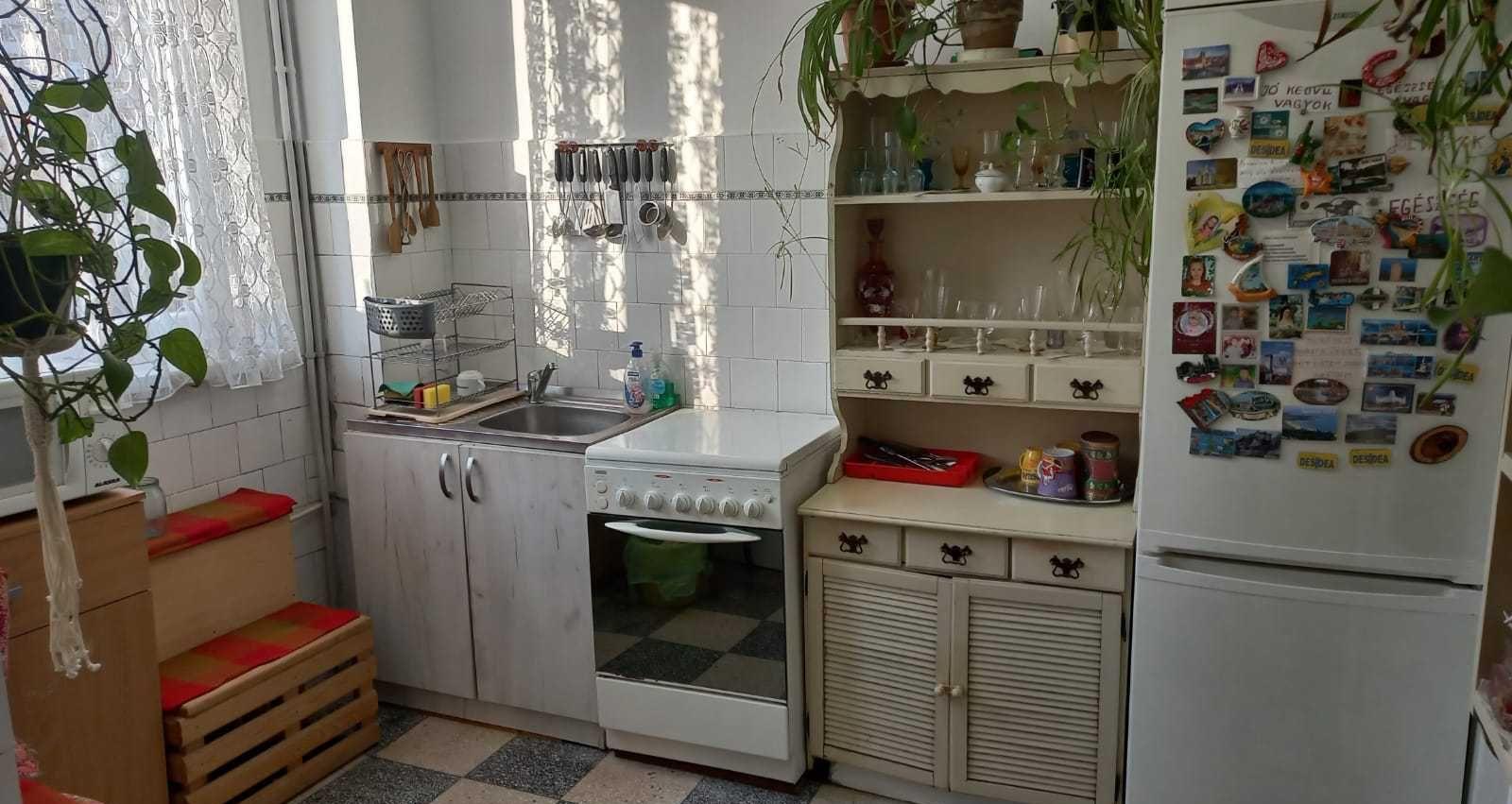Vand apartament cu 3 camere tip AN, str. Transilvaniei zona Rogerius